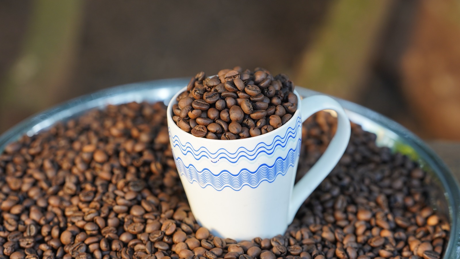 Natural process Arabica coffee